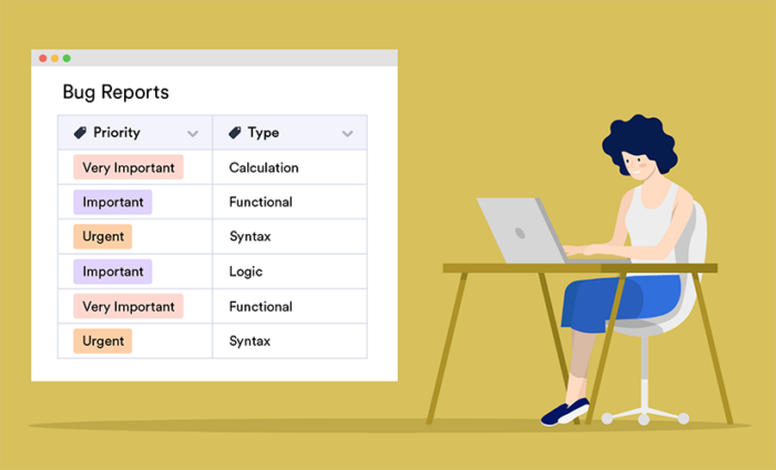 7 types of software bugs and errors